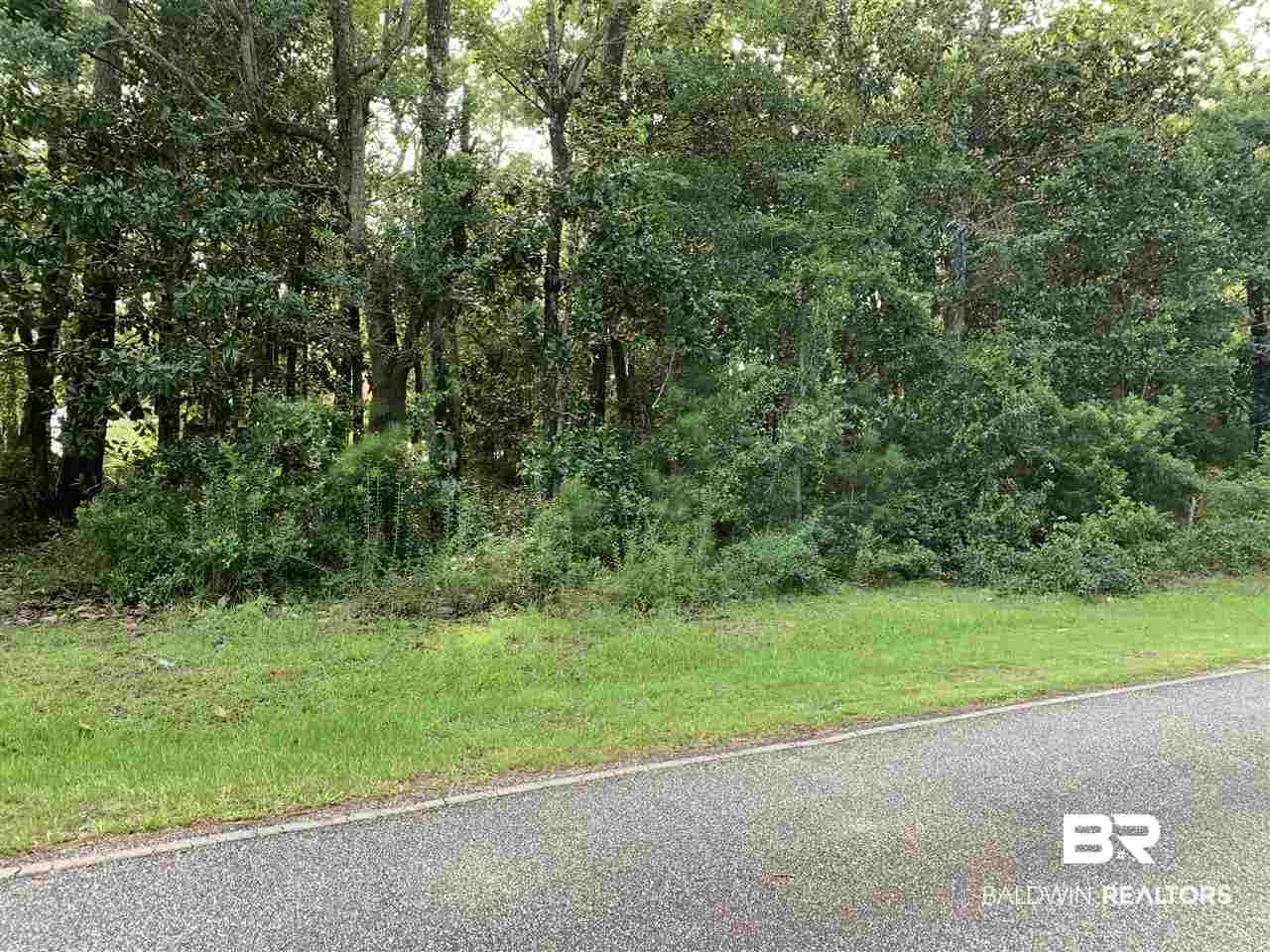 35-36 Beach Road Foley, AL 36535 - Photo 5 of 11