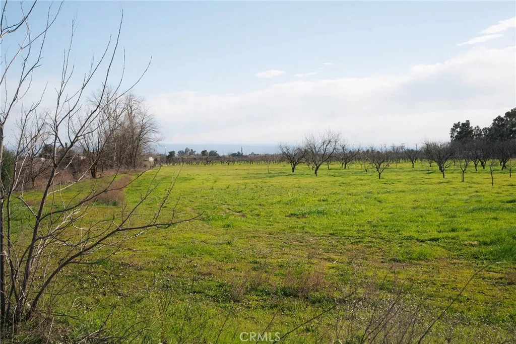 0 Corning Road Corning, CA 96021 - Photo 18 of 33 a view of grassy field with trees