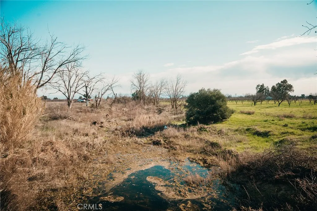 0 Corning Road Corning, CA 96021 - Photo 21 of 33 a view of a field with a tree in it