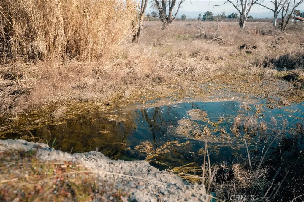 0 Corning Road Corning, CA 96021 - Photo 22 of 33