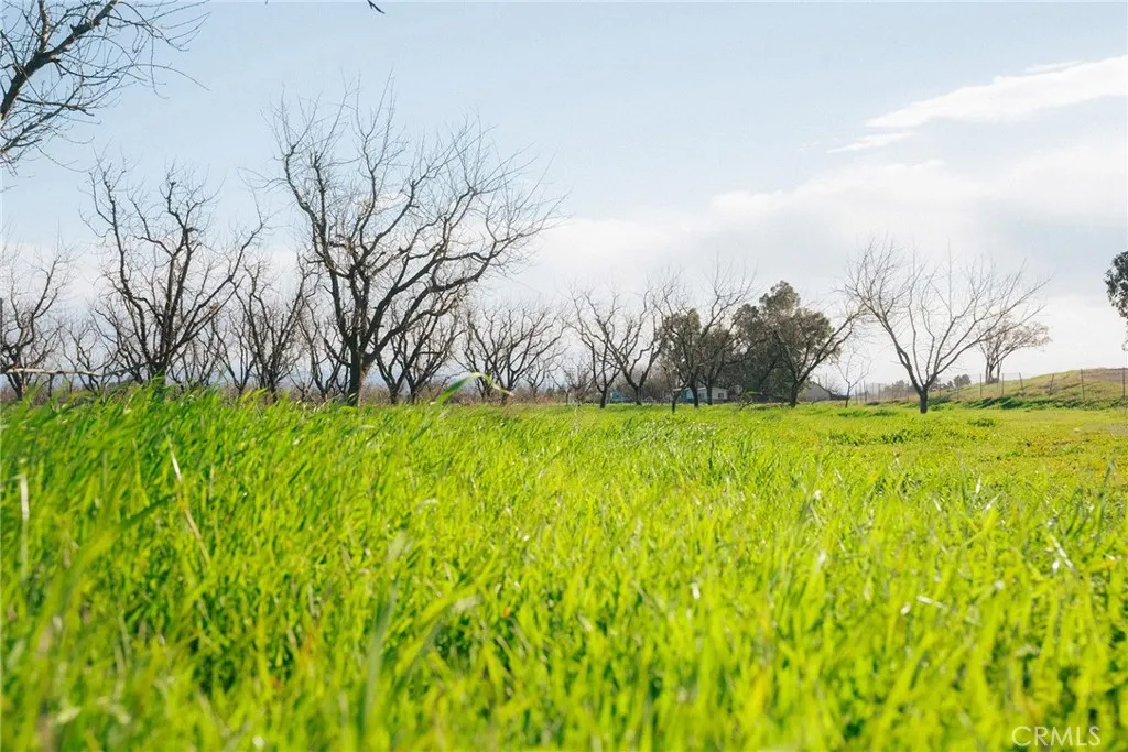 0 Corning Road Corning, CA 96021 - Photo 25 of 33 a view of yard with trees