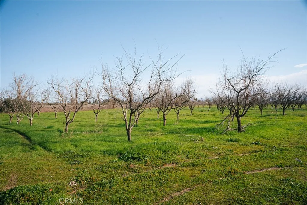 0 Corning Road Corning, CA 96021 - Photo 26 of 33 a green field with lots of trees