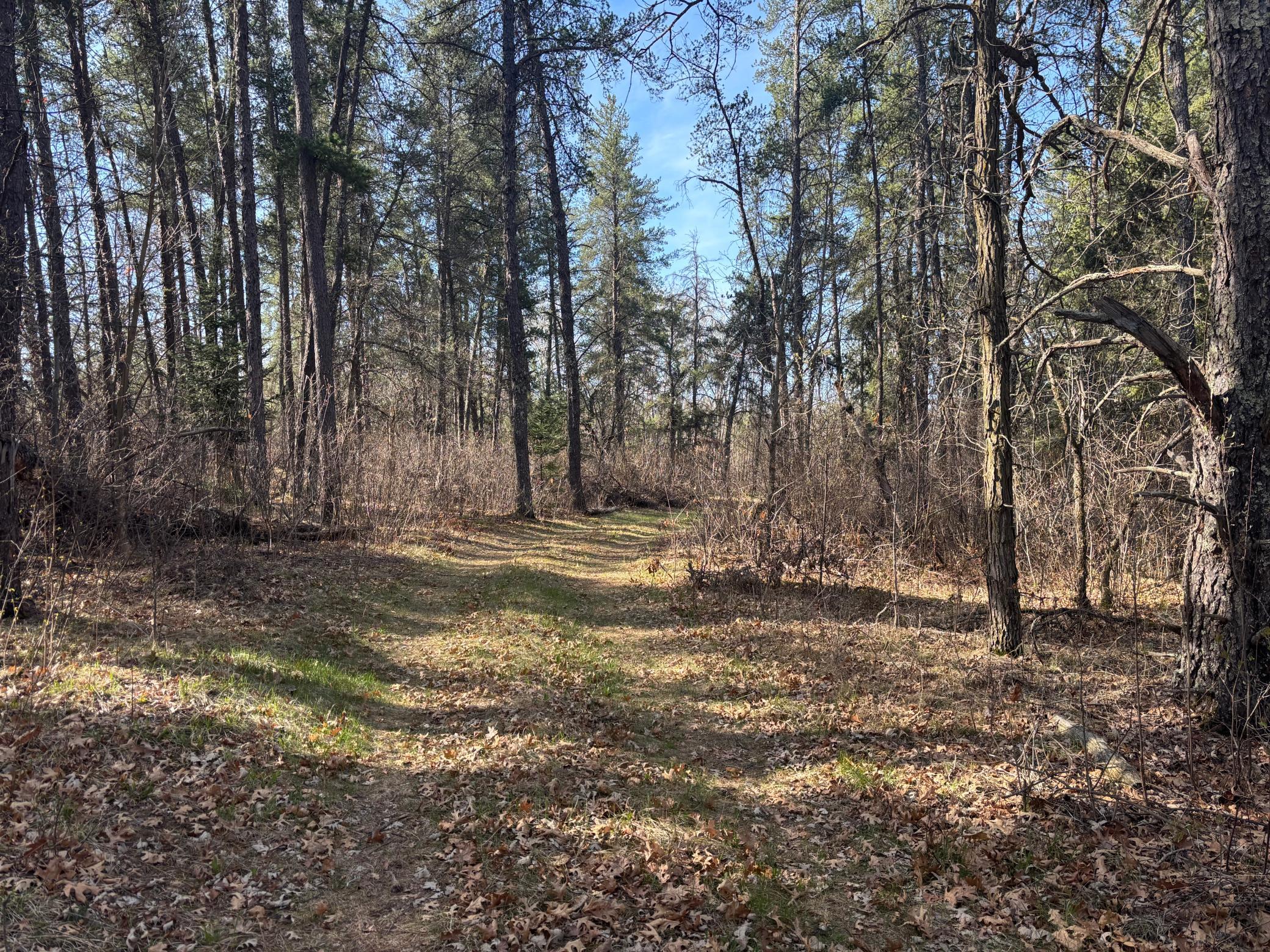 Tbd Arbor Road Park Rapids, MN 56470 - Photo 5 of 29