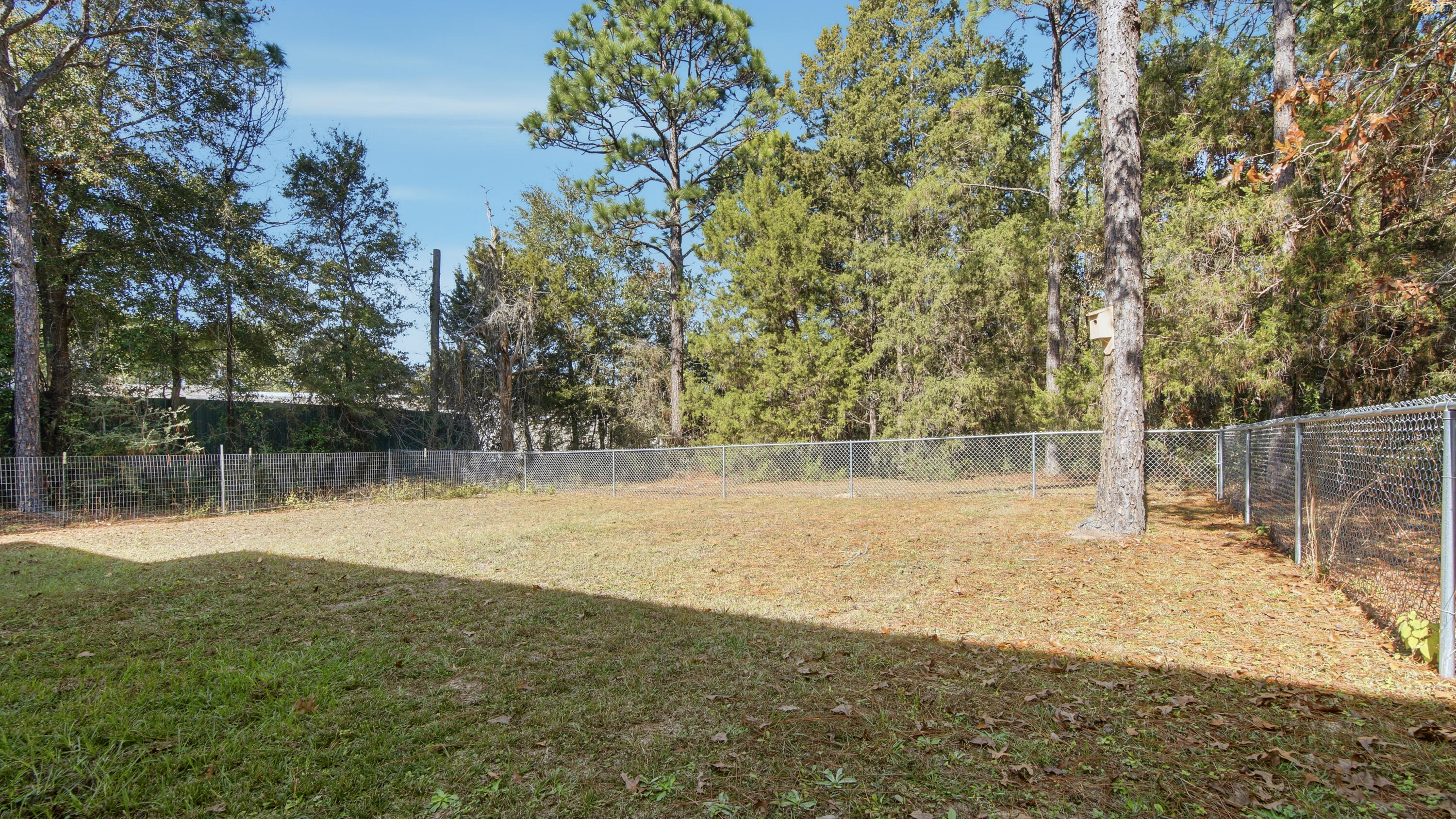 2186 Highway 90 DeFuniak Springs, FL 32433 - Photo 40 of 49 a backyard of a house with lots of green space