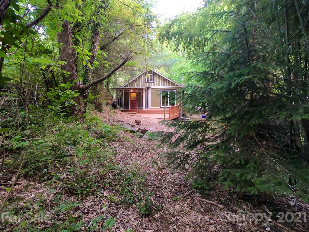 136 Spooks Branch Road Asheville, NC 28804 - Photo 17 of 17 Gallery Image 17