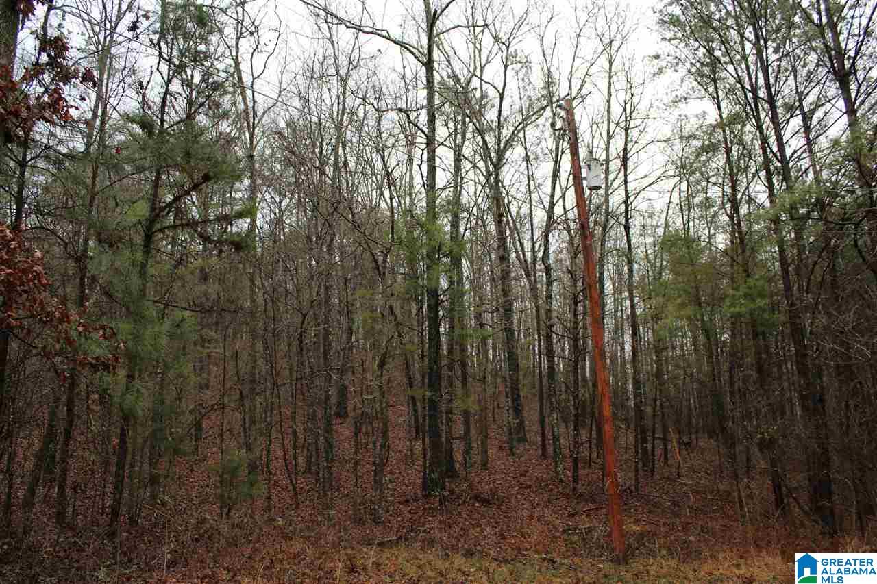0 Fitzgerald Road Oxford, AL 36203 - Photo 28 of 44