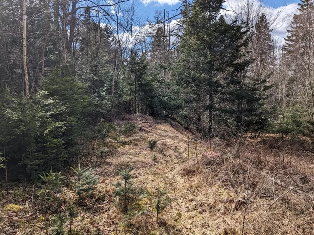 $60,000 | 4-28 Old Town Rd/old County Road, Machiasport, ME 04655