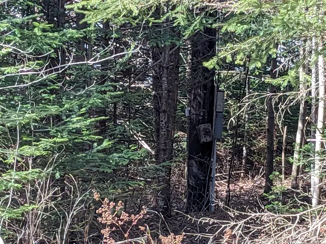 $60,000 | 4-28 Old Town Rd/old County Road, Machiasport, ME 04655