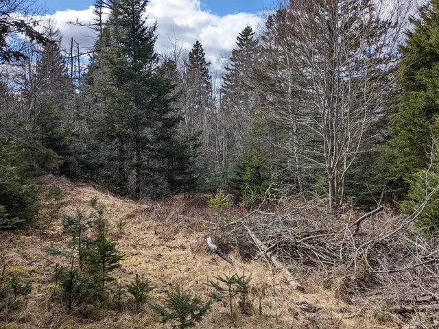 $60,000 | 4-28 Old Town Rd/old County Road, Machiasport, ME 04655
