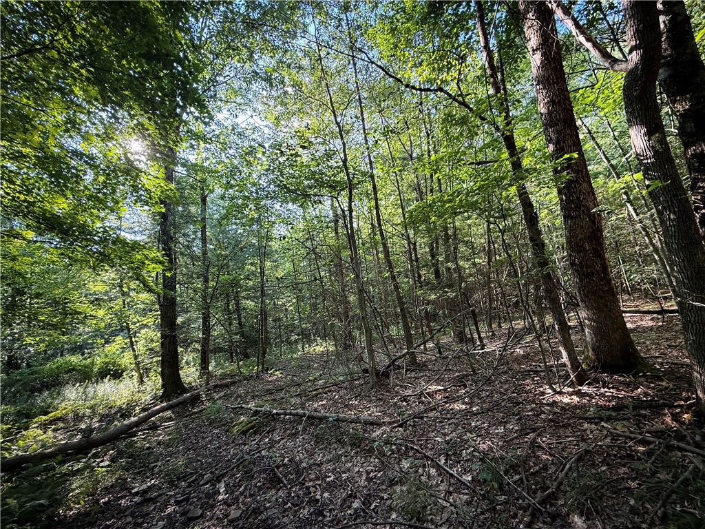 Wright Road Candor, NY 13743 - Photo 17 of 33 Gallery Image 17