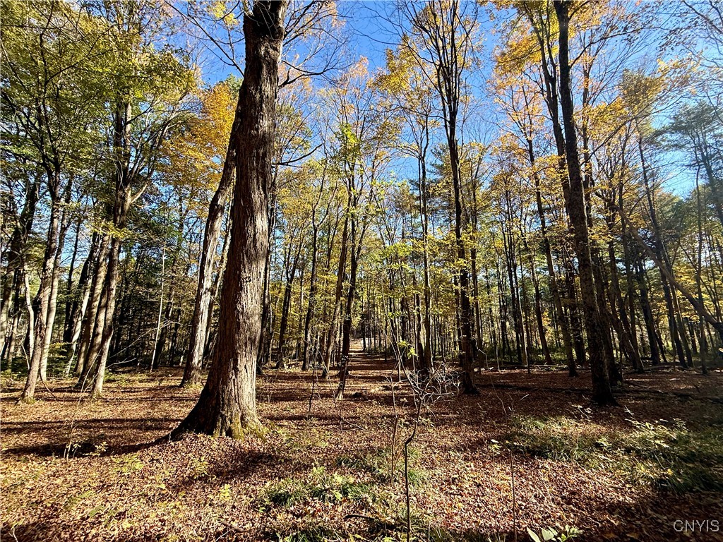 0 West Lake Road De Ruyter, NY 13052 - Photo 10 of 15