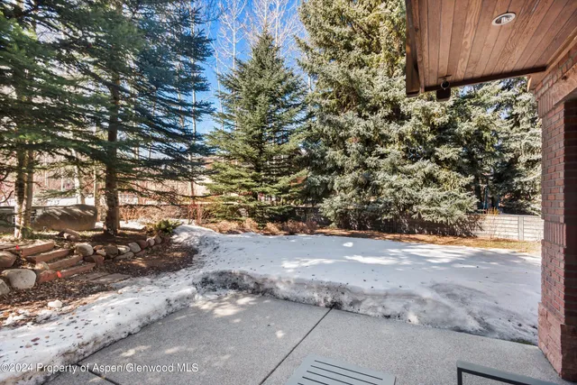 a view of a yard with a tree