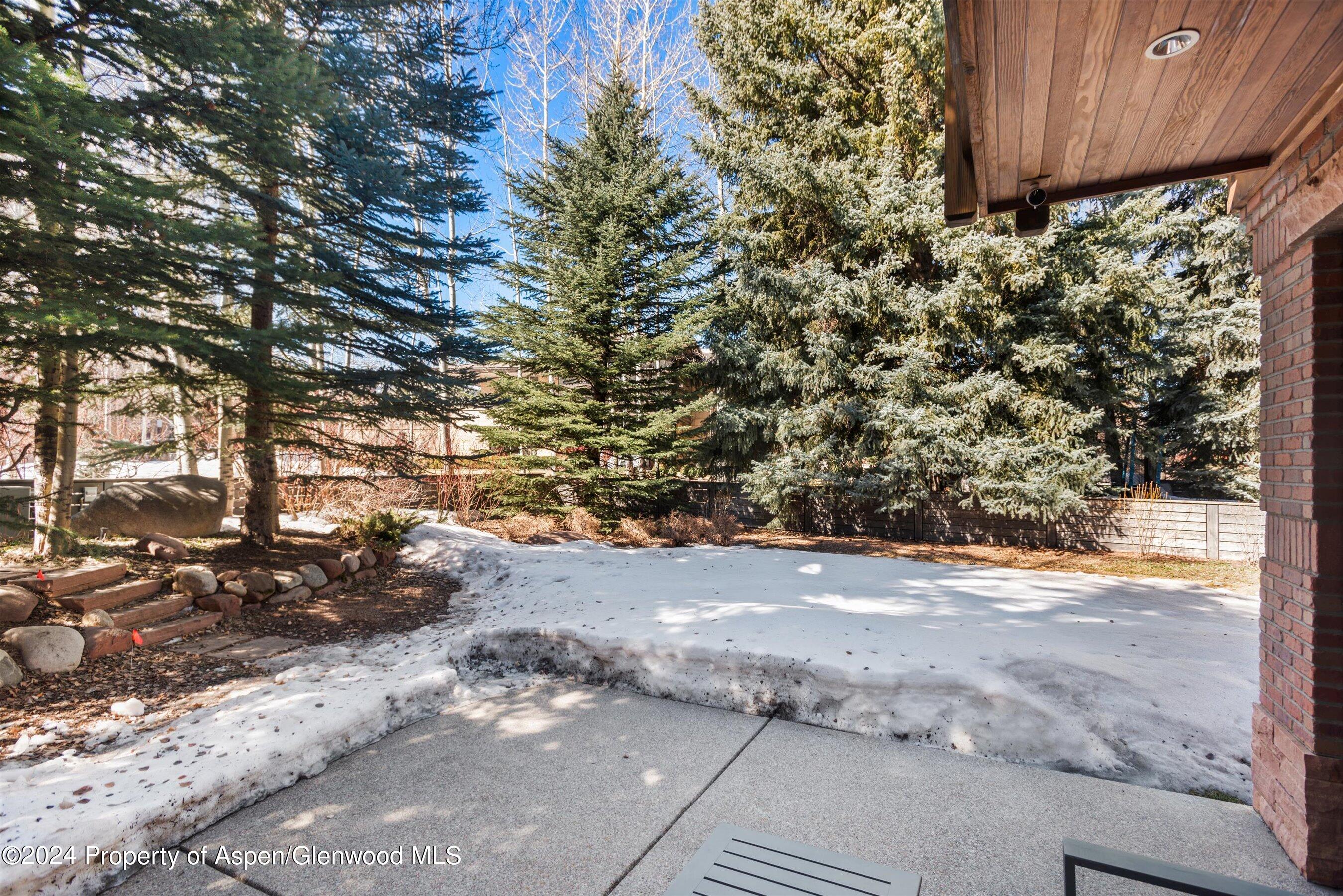 101 South 7th Street, Unit A Aspen, CO 81611 - Photo 10 of 35 a view of a yard with a tree