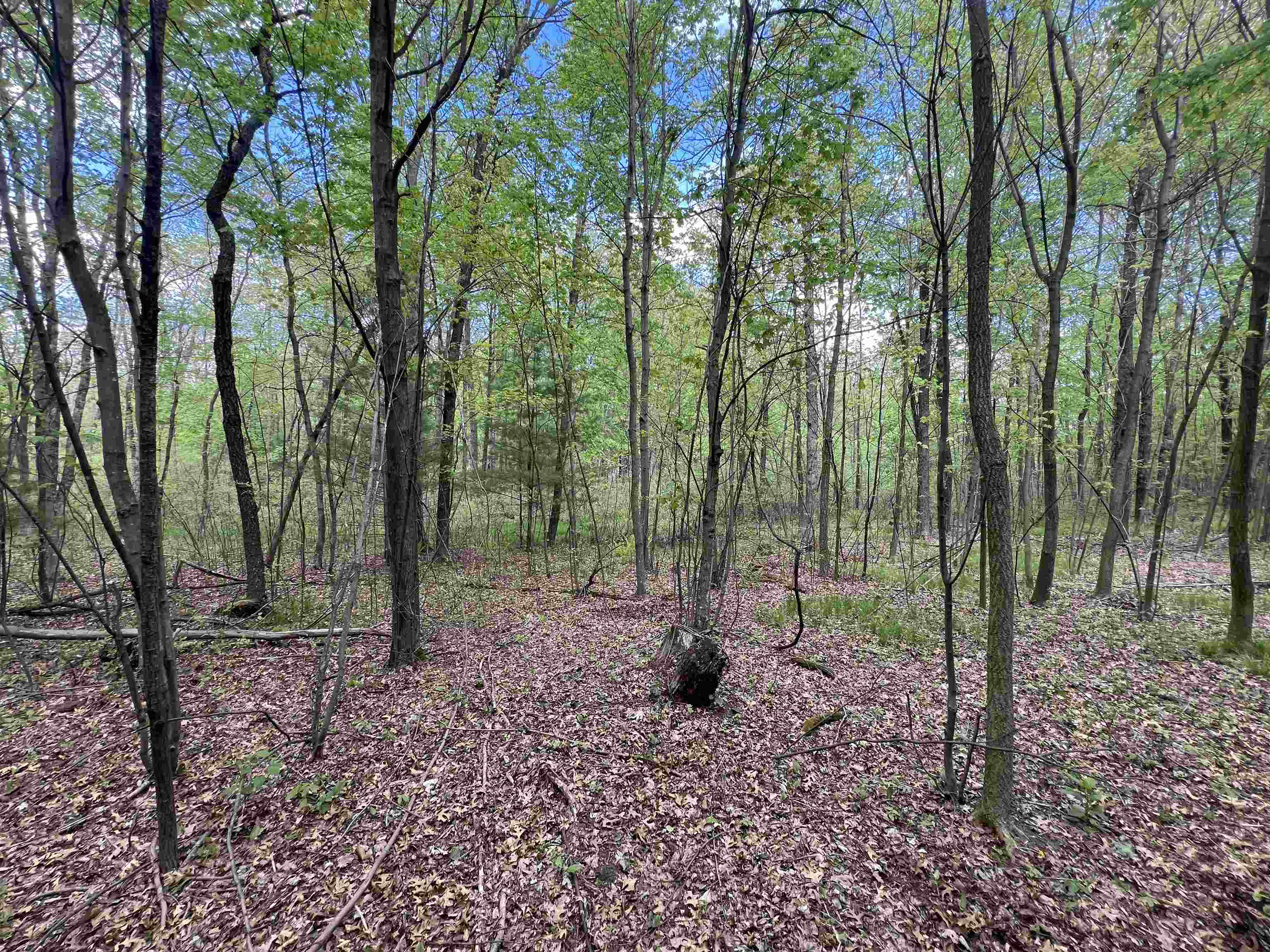 17.75-acres County Rd G Oxford, WI 53952 - Photo 26 of 56