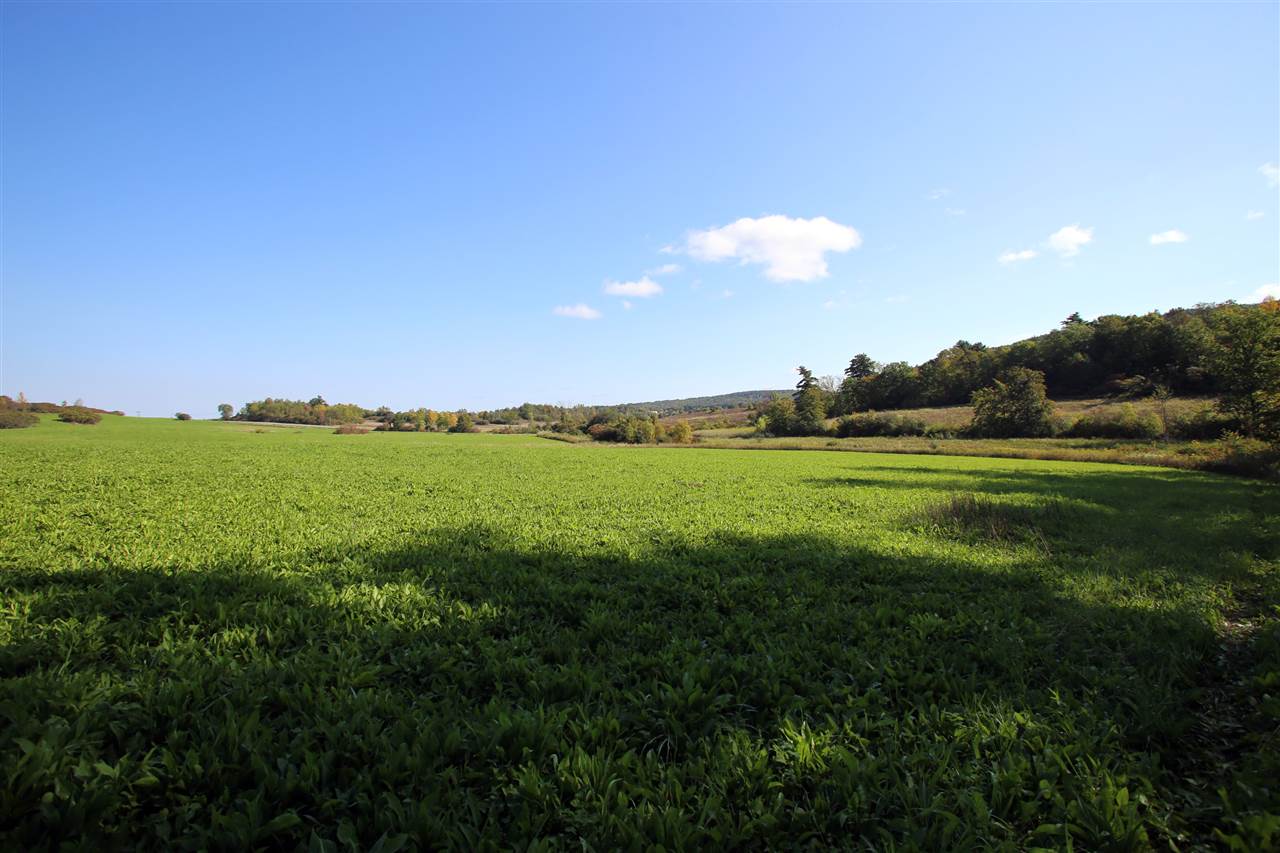 230 Cheesefactory Road South Burlington, VT 05403 - Photo 5 of 19