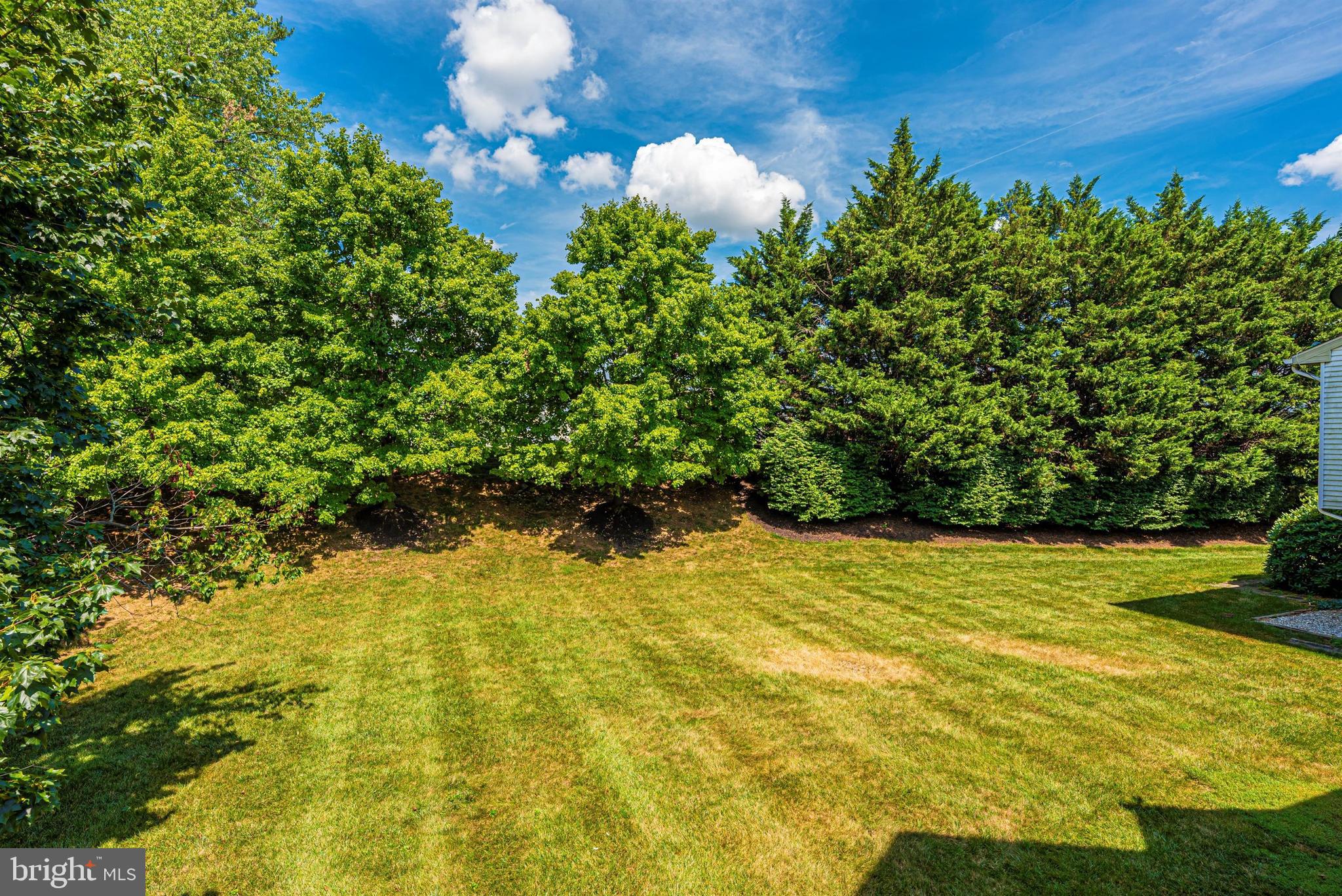 7046 Basswood Road, Unit 11 Frederick, MD 21703 - Photo 7 of 55 Lots of green area around the building