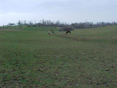 1008 Mt Hebron Road Lancaster, KY 40444 - Photo 13 of 15 Photo 14