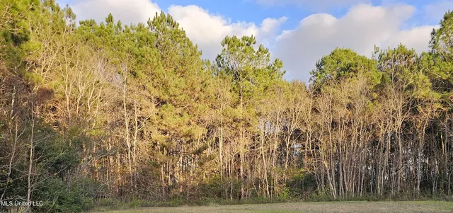 $42,900 | 0 Crescent Shore Drive, Biloxi, MS 39532