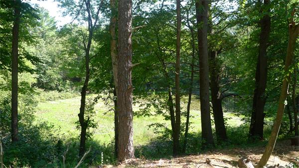 20 Willow Road Boxford, MA 01921 - Photo 14 of 15 a view of outdoor space and trees