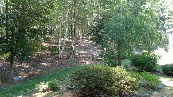 20 Willow Road Boxford, MA 01921 - Photo 15 of 15 a view of a forest with trees