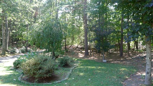 20 Willow Road Boxford, MA 01921 - Photo 5 of 15 a view of a forest