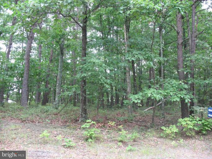 38-9 Allemong Road Berkeley Springs, WV 25411 - Photo 2 of 5 Exterior #2