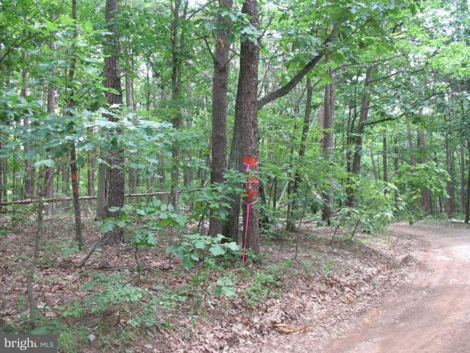 38-9 Allemong Road Berkeley Springs, WV 25411 - Photo 5 of 5 Wooded View / Acreage