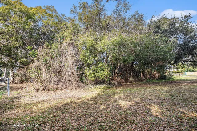 a view of a yard with a tree