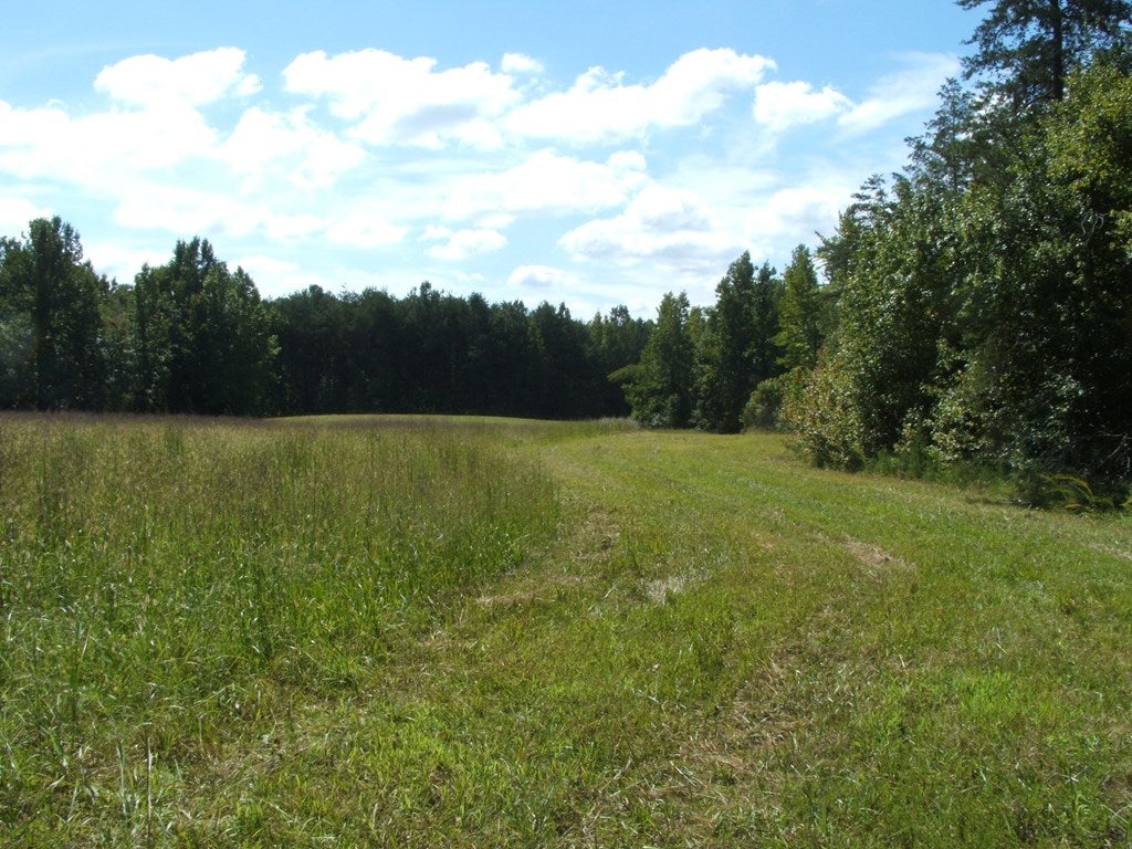 1079 Crymes Orchard Road Keysville, VA 23947 - Photo 4 of 23 Gallery Image 4