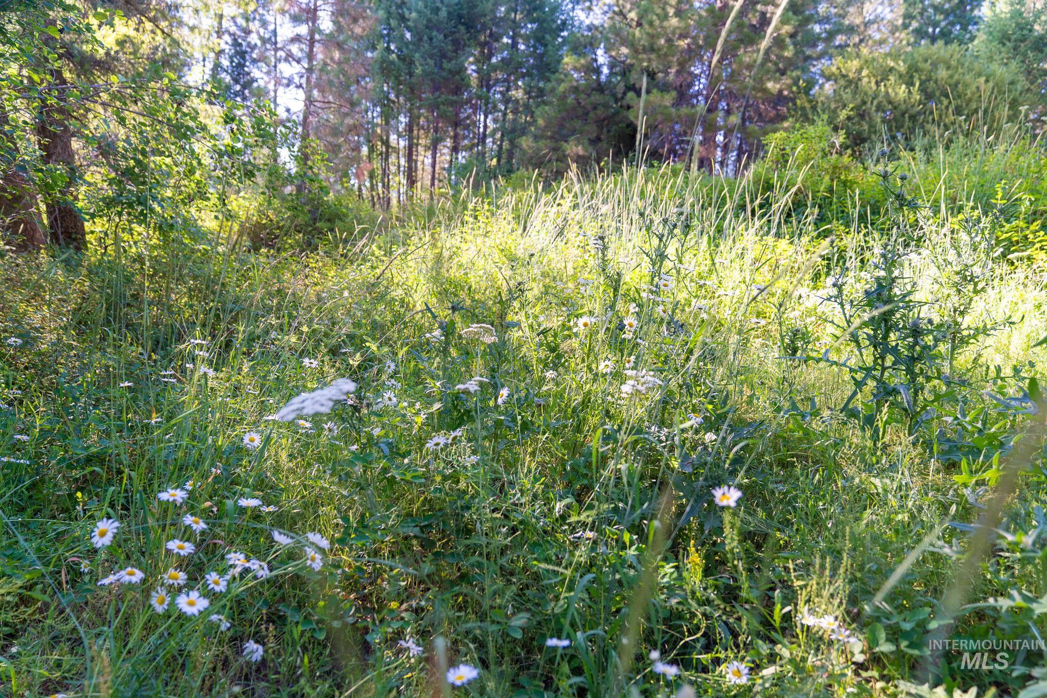 Tbd Tbd Goldfinch Rd Garden Valley Garden Valley, ID 83622 - Photo 8 of 18