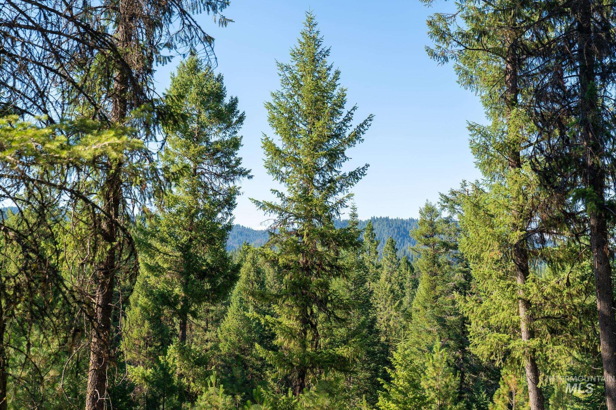 Tbd Tbd Goldfinch Rd Garden Valley Garden Valley, ID 83622 - Photo 9 of 18