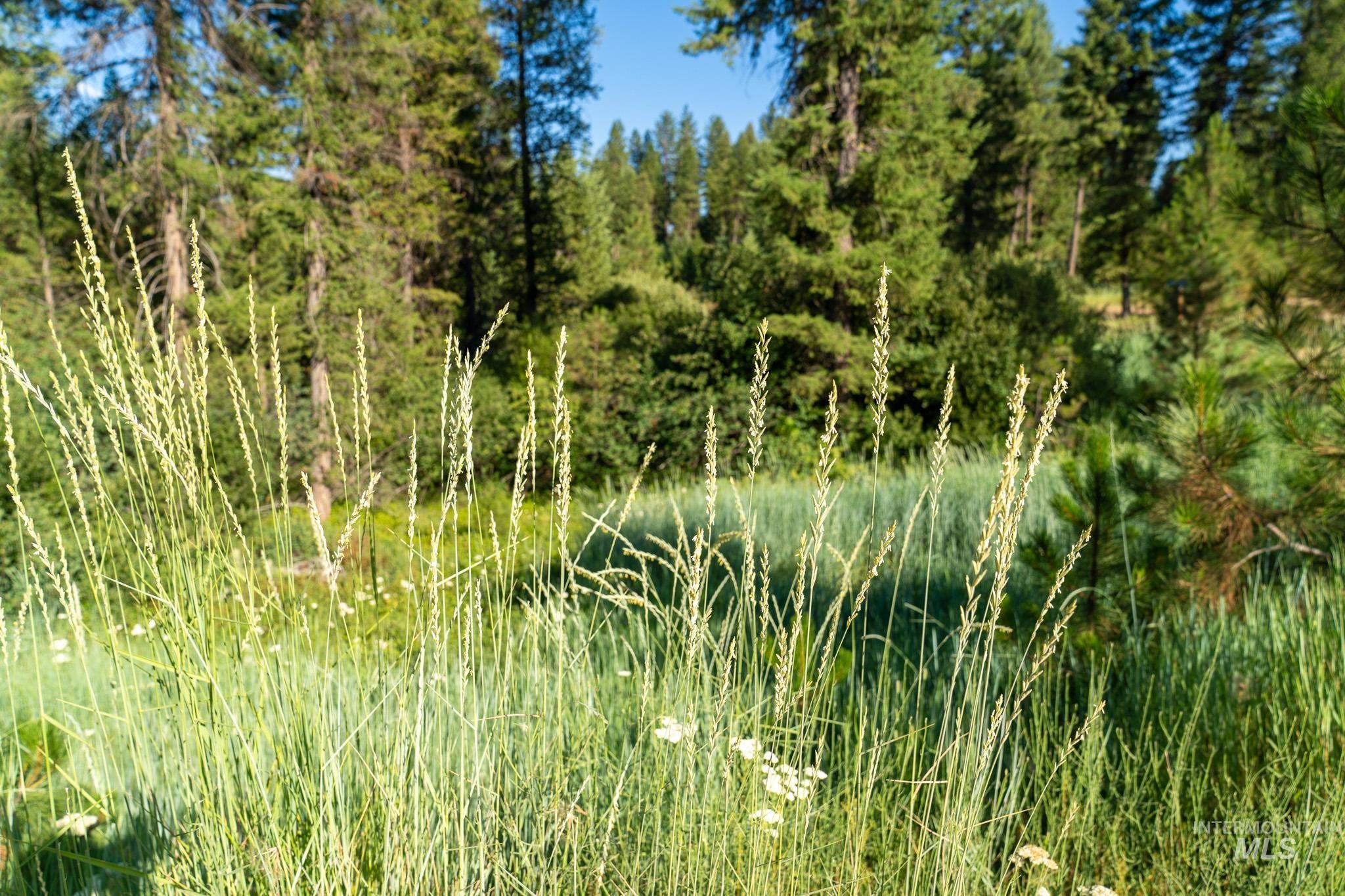 Tbd Tbd Goldfinch Rd Garden Valley Garden Valley, ID 83622 - Photo 10 of 18