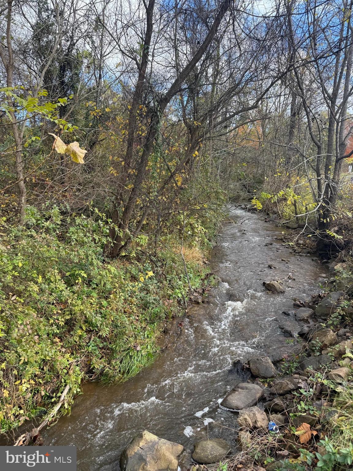 8 Creek Road Front Royal, VA 22630 - Photo 42 of 45 a view of a yard with a tree