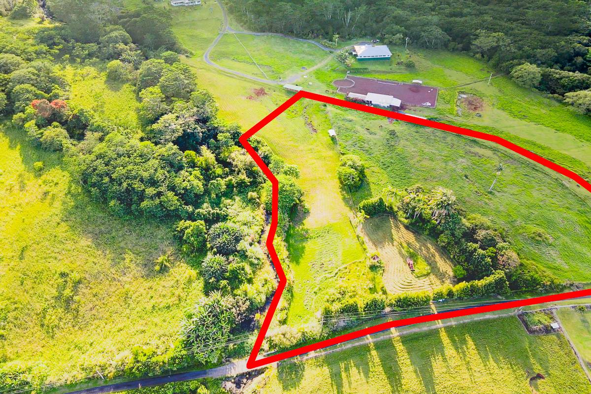 378 Akolea Road Hilo, HI 96720 - Photo 2 of 7