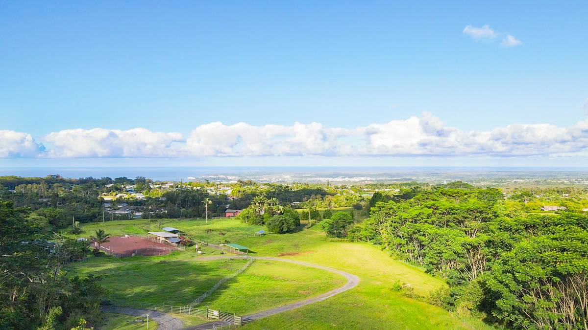 378 Akolea Road Hilo, HI 96720 - Photo 5 of 7