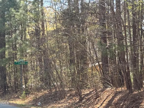 a view of forest