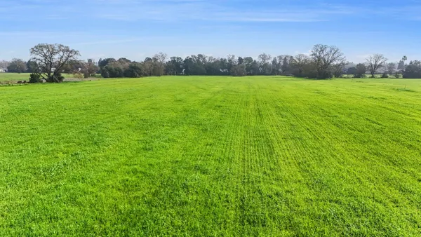 a view of a field of grass and trees