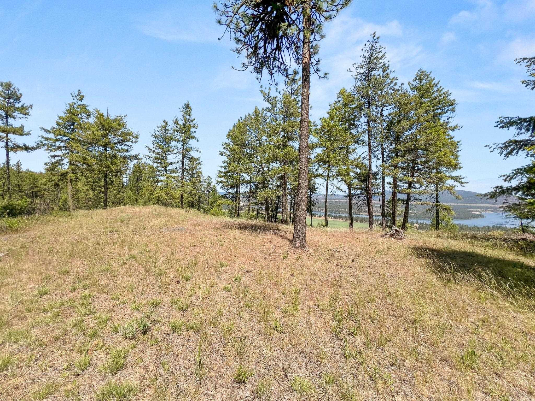 0 West Highland Road Ford, WA 99013 - Photo 28 of 41