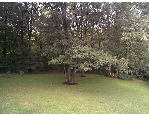 13 Powdermill Road Haverhill, MA 01830 - Photo 5 of 13 Gallery Image 5