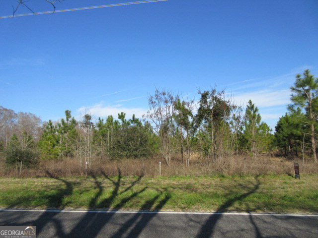 0 Lothair Church Road Soperton, GA 30457 - Photo 1 of 1 Main View