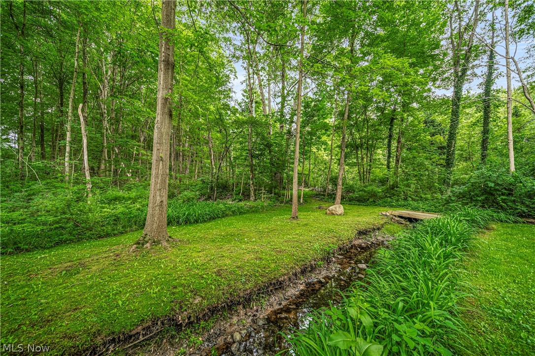 8288 Billings Road Kirtland, OH 44094 - Photo 45 of 50 Gallery Image 45
