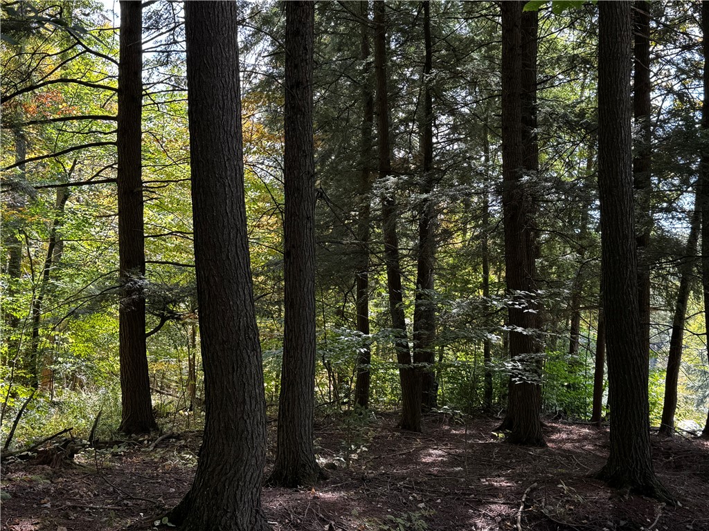 Lot 11 Sisson Hill Road Unadilla, NY 13849 - Photo 3 of 5