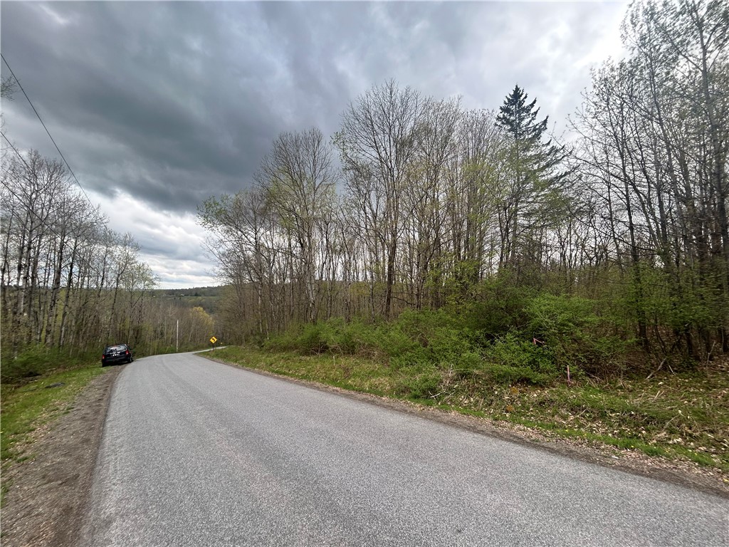 Lot 11 Sisson Hill Road Unadilla, NY 13849 - Photo 4 of 5