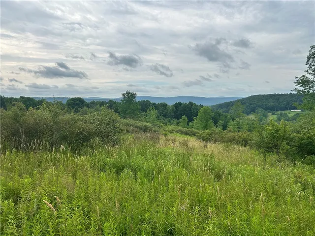 $34,900 | Lot 11 Sisson Hill Road, Unadilla, NY 13849