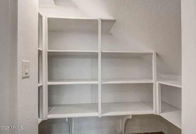a view of an empty walk in closet