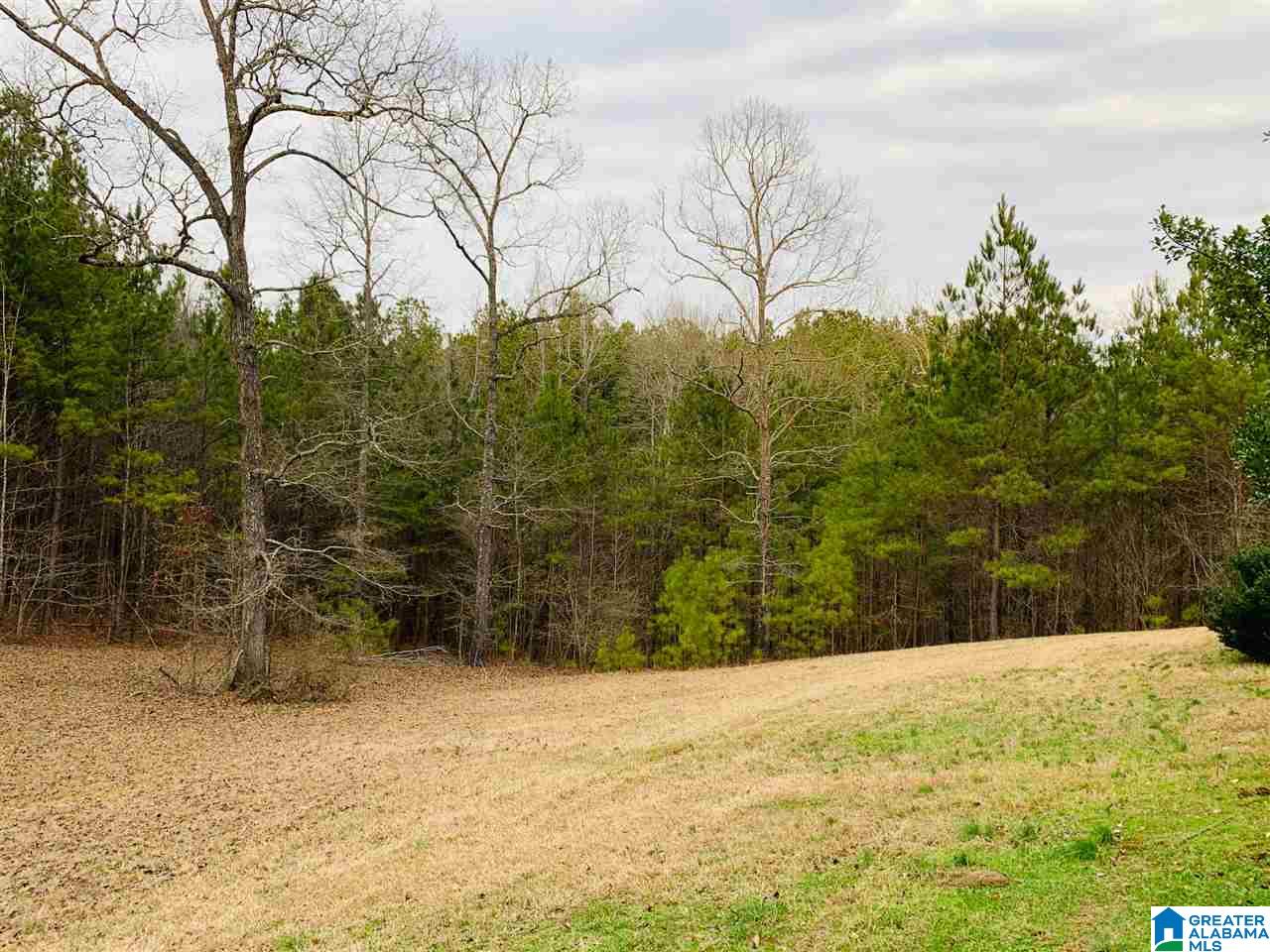 3074 McClendon Chapel Road Bessemer, AL 35022 - Photo 8 of 8