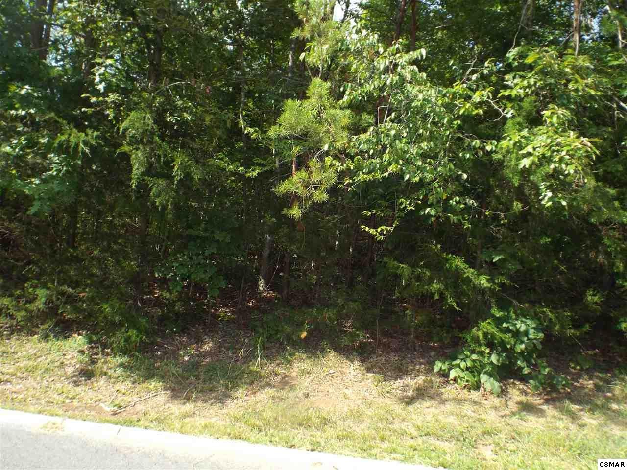 0 Floyd Lane Sevierville, TN 37862 - Photo 3 of 3