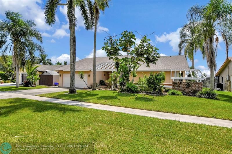 a view of a park with a palm trees