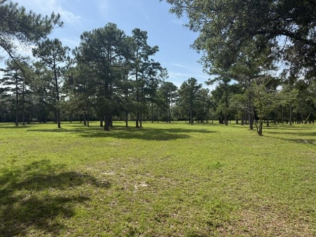 508 Rehwinkel Road Crawfordville, FL 32327 - Photo 3 of 41