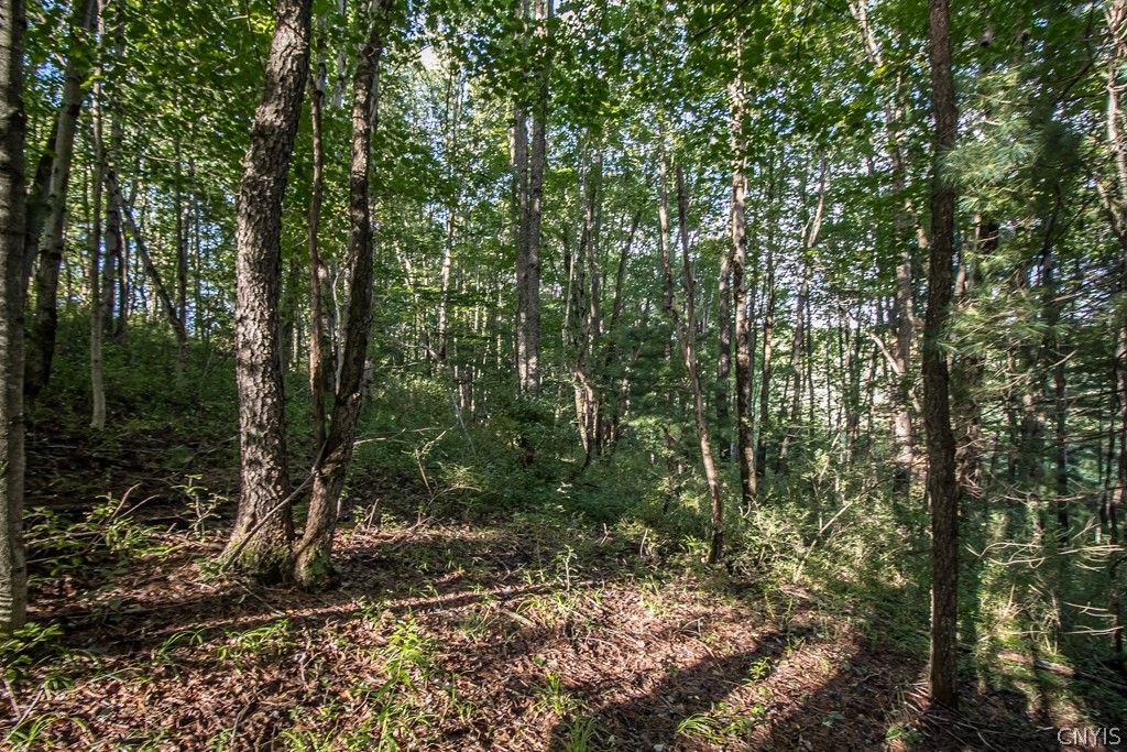 2455 Hatch Lake Road Nelson, NY 13061 - Photo 15 of 27 Gallery Image 15